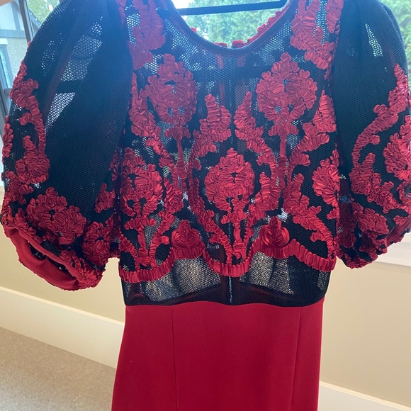 Red Isabel dress - Picture 7 of 9